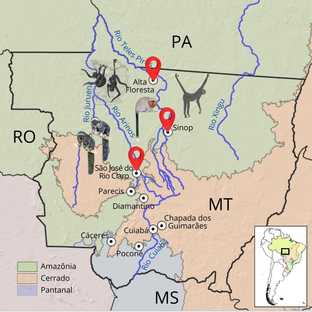 Rota de Primatas do Mato Grosso